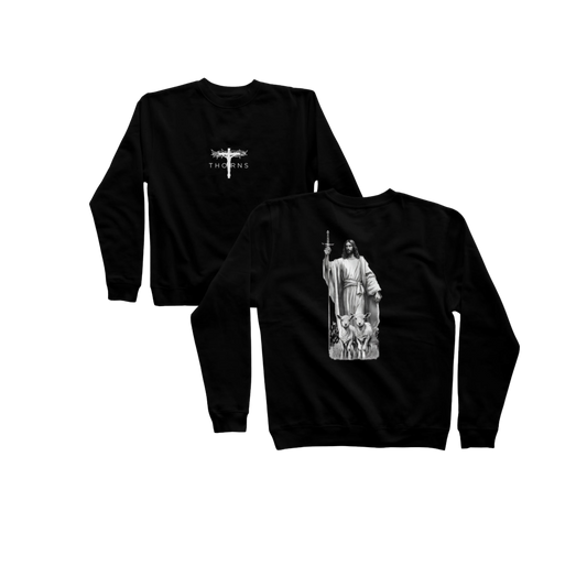 The Protector Pullover